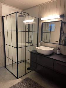 W łazience znajduje się umywalka i lustro. w obiekcie Dalen i Telemark holiday home with garden w mieście Dalen