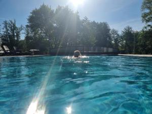 施特格爾斯巴赫的住宿－貝婭特麗克絲度假屋，一个人在游泳池游泳