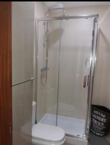 a bathroom with a toilet and a shower with a glass door at Apartamento Miralrio in Milagro