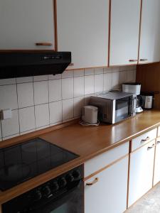 a kitchen with a counter top with a microwave at Haus an der Radau in Bad Harzburg