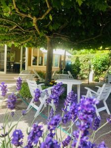un grupo de sillas blancas y flores púrpuras en Hotel Perla Del Mare, en Lido di Camaiore