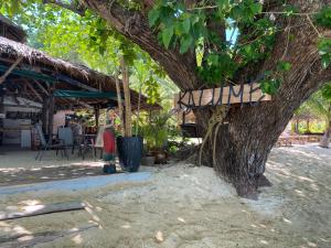 a wooden bench sitting next to a tree at KALUME' Eco Boutique Resort-Adult only in Koh Kradan