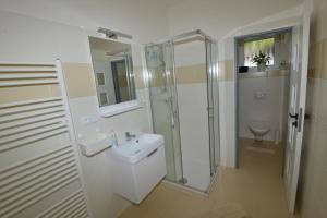 a bathroom with a sink and a shower and a toilet at Apartmány u Pešlů in Železná Ruda