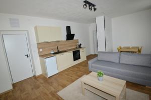 Kuchyň nebo kuchyňský kout v ubytování Apartmány u Pešlů + 6 fotografií