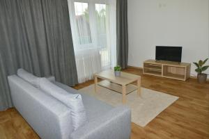 a living room with a couch and a tv at Apartmány u Pešlů in Železná Ruda