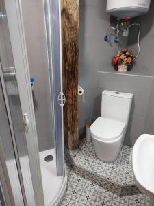 La salle de bains est pourvue de toilettes, d'un lavabo et d'une douche. dans l'établissement Berleo 1 Piso completo en pleno casco histórico., à Medina de Pomar