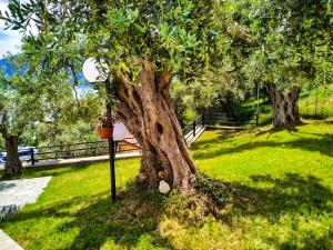 A garden outside Celeste Golden Beach