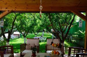 a patio with a table and chairs under a tree at Helen Rooms Vama Veche in Vama Veche