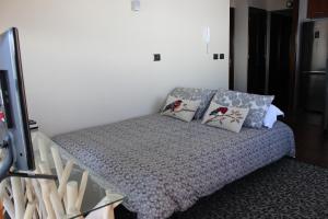 Gallery image of Valle Nevado Vip Apartment Ski Out-In in Valle Nevado