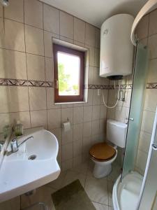 ein Bad mit einem Waschbecken, einem WC und einem Fenster in der Unterkunft Gyopar Wooden Houses in Izvoare
