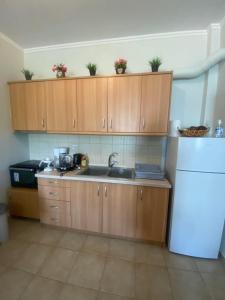 a kitchen with wooden cabinets and a sink and a refrigerator at dimitris house 2 in Alepou