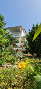 Zahrada ubytování Villa Rab Robert