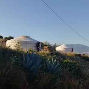 Fotografia z galérie ubytovania Casa de la Vida Málaga v destinácii Pizarra + 37 fotografií