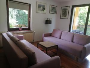 a living room with a purple couch and a table at Holiday Home Jakovci in Netretić