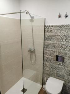 a bathroom with a shower and a toilet at Villas Camargo.suites in Camargo