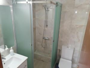 e bagno con doccia, servizi igienici e lavandino. di Porto Almira Beachfront Apartrments a Nikiti