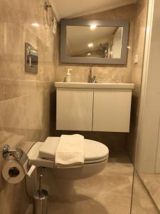 bagno con servizi igienici, lavandino e specchio di Stone House Aparts 1 plus 1 mit Meerblick Kalkan a Kaş