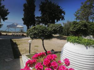 Vonkajšia záhrada v ubytovaní Porto Almira Beachfront Apartrments