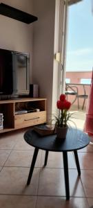 Televízia a/alebo spoločenská miestnosť v ubytovaní Apartment Mavarčica