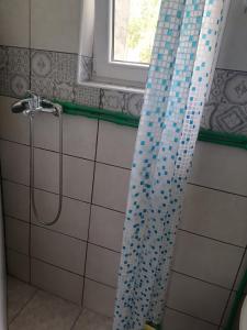 uma casa de banho com um chuveiro com uma cortina de chuveiro azul em Apartman Milica em Golubić