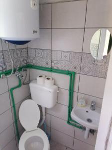 uma pequena casa de banho com WC e lavatório em Apartman Milica em Golubić