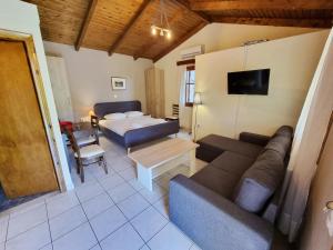 a living room with a couch and a bed at Alexaria Holidays Homes in Lefkada +43 photos