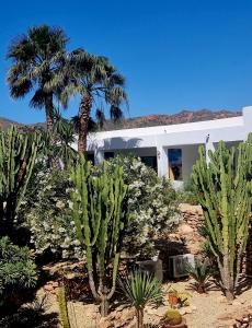 a house with palm trees and cacti in front of it at Casa Biank in Rodalquilar