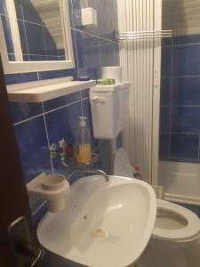 een badkamer met een witte wastafel en een toilet bij Kovcica Rooms in Žabljak