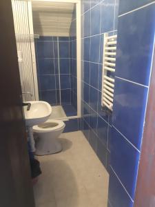 a blue bathroom with a toilet and a sink at Kovcica Rooms in Žabljak