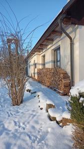 Apartmán U Kaštanu v zime