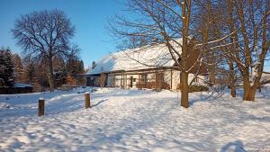 una casa en un patio cubierto de nieve con árboles en Apartmán U Kaštanu, en Chvaleč