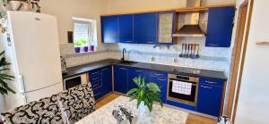 Kuchyň nebo kuchyňský kout v ubytování Apartments Pinezić