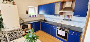 Kuchyň nebo kuchyňský kout v ubytování Apartments Pinezić