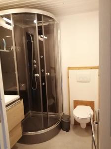 a bathroom with a shower and a toilet at Le Courtil mezzanine in Dohan