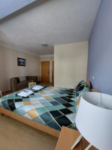 a bedroom with a bed and a couch in a room at PS Apartments - Peshtani in Peštani