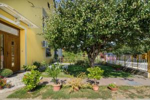 a tree in front of a house with potted plants at Katica Apartment in Balatonszárszó +25 photos