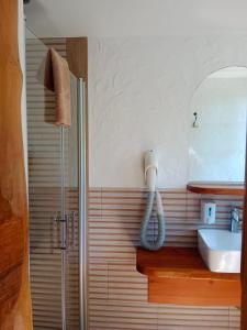 La salle de bains est pourvue d'un lavabo et d'une douche. dans l'établissement Galindia, à Iznota