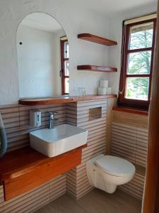 a bathroom with a toilet, sink, and mirror at Galindia in Iznota