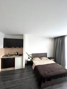 a bedroom with a large bed and a sink at Комфортні апартаменти 82 in Ivano-Frankivsʼk