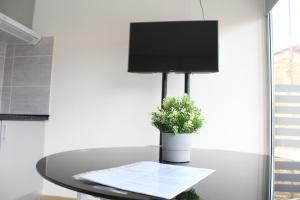 a table with a tv and a potted plant on it at Casa Dona Ana in Carviçais