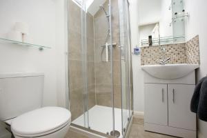 a bathroom with a shower and a toilet and a sink at Sallins Loft in Sallins