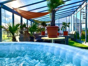 a large swimming pool in a greenhouse with palm trees at Chateau Vincze in Sátoraljaújhely