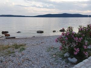 un cuerpo de agua con flores rosas en la orilla en Pinea Sol, en Brodarica