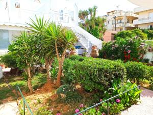 A garden outside Marina Villa