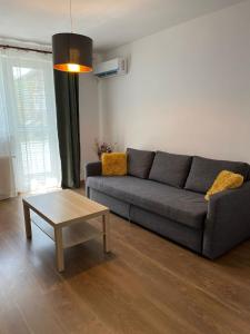ein Wohnzimmer mit einem Sofa und einem Couchtisch in der Unterkunft Sophia's Cozy Apartment in Mediaş