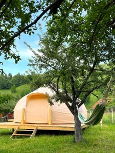 Gallery image of Flore's Garden Glamping in Bran