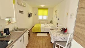 Kuchyňa alebo kuchynka v ubytovaní Apartment PIPO