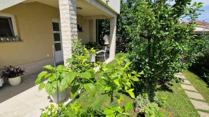 Vonkajšia záhrada v ubytovaní Apartment PIPO