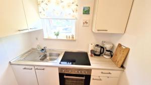 Kuchyňa alebo kuchynka v ubytovaní Apartment PIPO