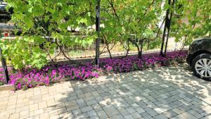 Vonkajšia záhrada v ubytovaní Apartment PIPO